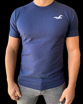 Pánská trička Hollister #hollister #tricko #pansketricko #panskamoda #panskeobleceni